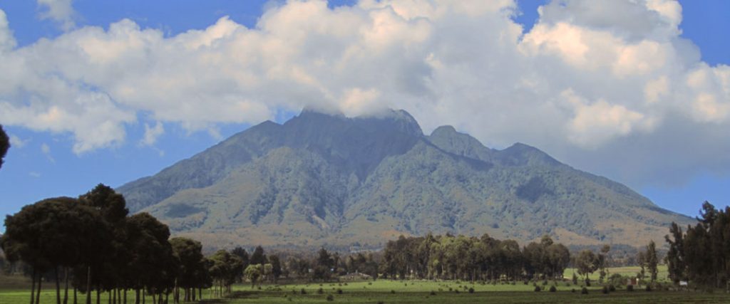 Volcanoes Park Rwanda