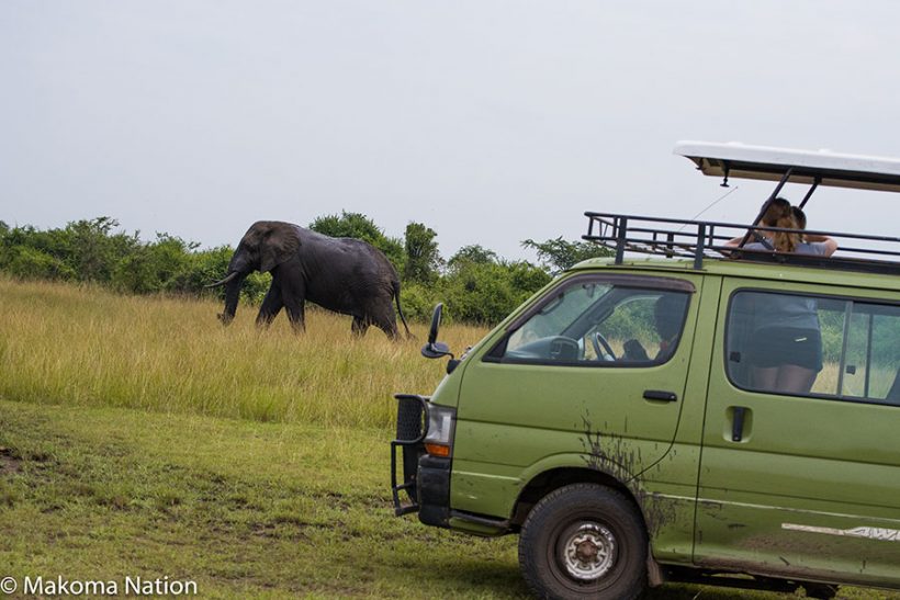 on-safari-uganda